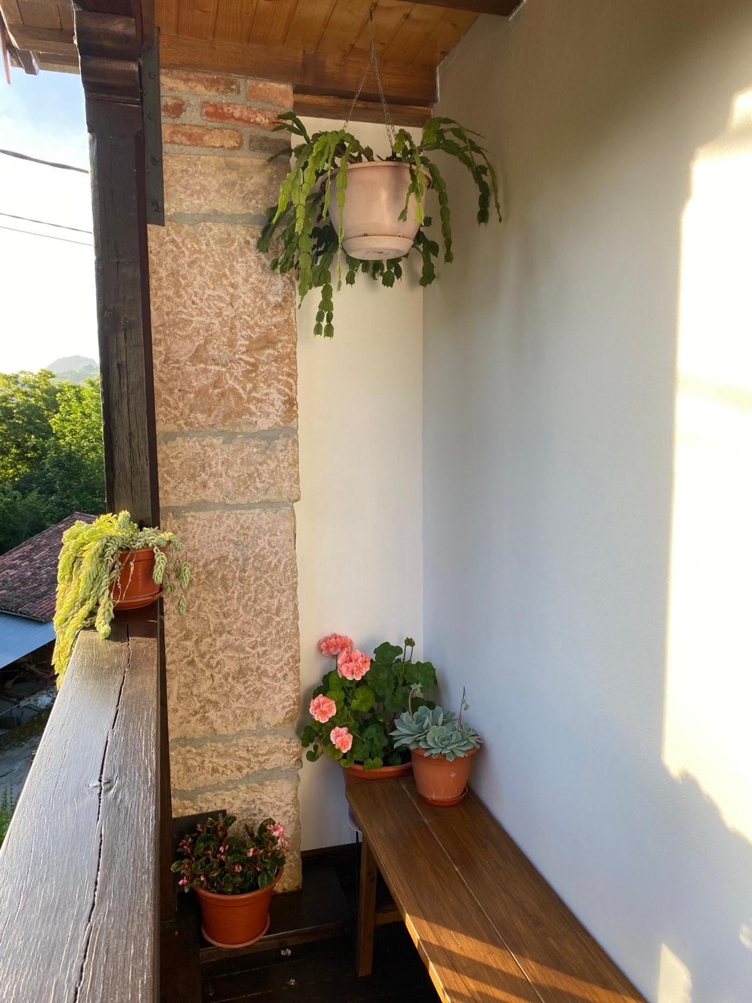 Apartamentos Rurales La Caviana Onís エクステリア 写真